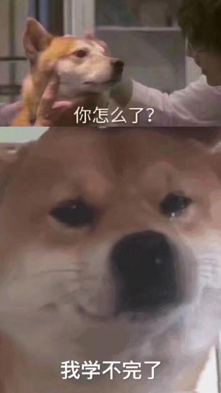 思维清奇是什么意思，逻辑思维清奇（孩子，你这是在用灵魂答卷么）