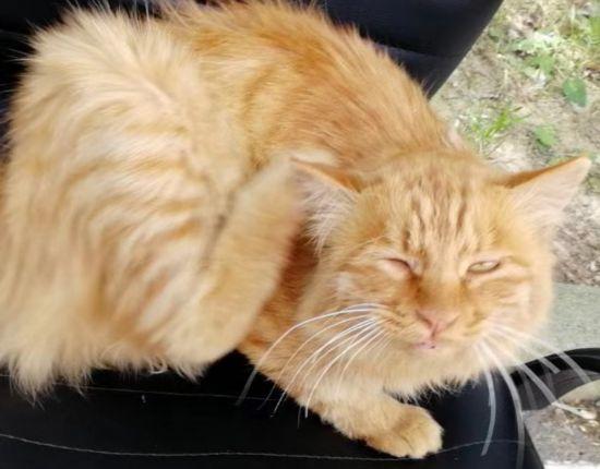 思维清奇是什么意思，逻辑思维清奇（孩子，你这是在用灵魂答卷么）