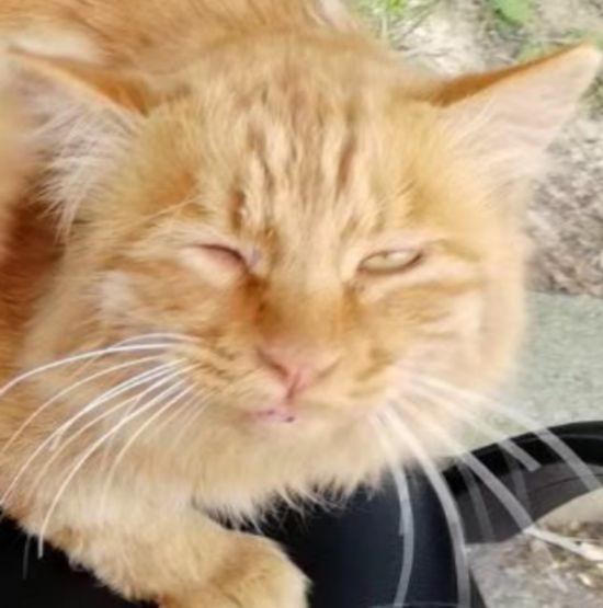 思维清奇是什么意思，逻辑思维清奇（孩子，你这是在用灵魂答卷么）