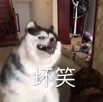 思维清奇是什么意思，逻辑思维清奇（孩子，你这是在用灵魂答卷么）