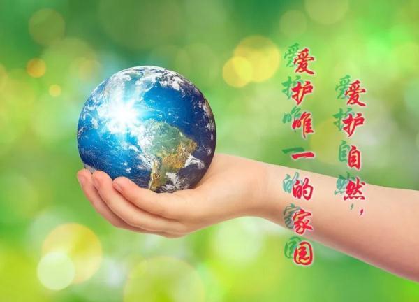 甲鱼是乌龟吗(甲鱼和乌龟的区别图片)