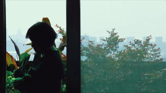 龙应台的作品有哪些，龙应台的书有哪些的书（龙应台辞官照顾失忆母亲）