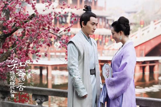 电视剧红肥绿瘦剧情介绍，绿肥红瘦是哪部电视剧（《知否知否应是绿肥红瘦》剧情大反转）