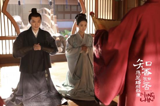 电视剧红肥绿瘦剧情介绍，绿肥红瘦是哪部电视剧（《知否知否应是绿肥红瘦》剧情大反转）