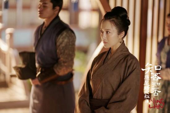 电视剧红肥绿瘦剧情介绍，绿肥红瘦是哪部电视剧（《知否知否应是绿肥红瘦》剧情大反转）