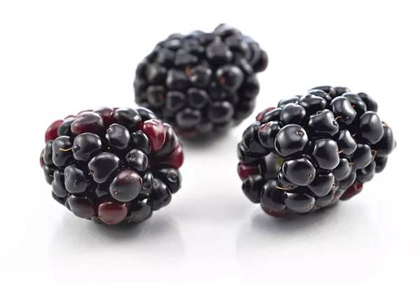 黑莓很酸怎么吃，黑莓怎么吃好吃（黑莓的养生功效与选购方法你都知道吗）