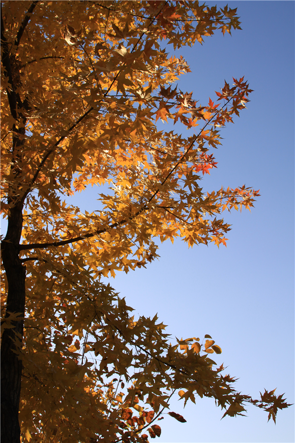 安慰女朋友的暖心句子，安慰女朋友的暖心话（安慰分手的人的暖心话）
