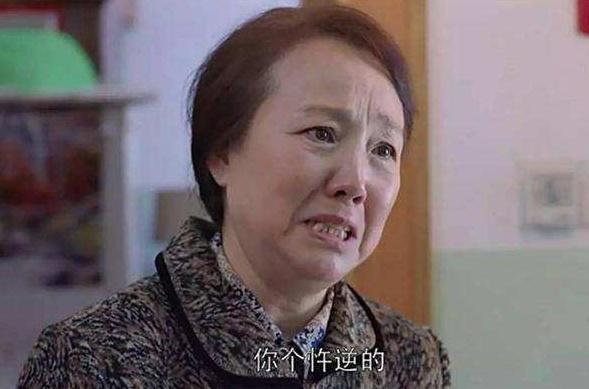康群智演过什么，她是《欢乐颂》中的樊母