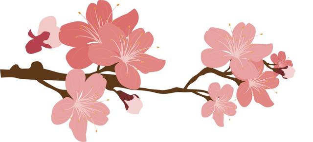 聊城大学录取查询，2021年聊城大学高考录取结果公布时间及录取通知书查询入口（围观！录取通知书来喽）