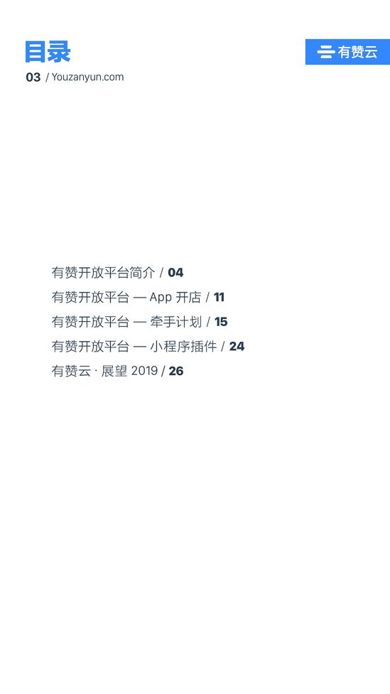有赞开放平台(有赞零售网页版)