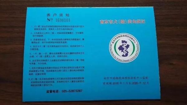 带宠物出国全攻略，能带宠物出国旅行吗（手把手教你如何携带宠物出境）