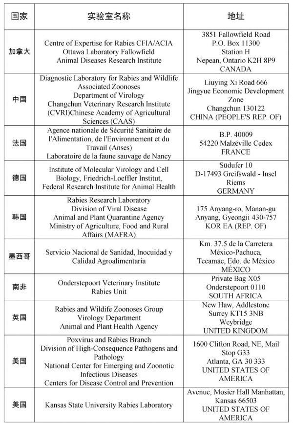 带宠物出国全攻略，能带宠物出国旅行吗（手把手教你如何携带宠物出境）