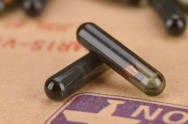 带宠物出国全攻略，能带宠物出国旅行吗（手把手教你如何携带宠物出境）