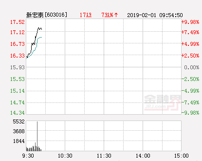 新宏泰股票（快讯：新宏泰涨停）