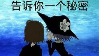 安徽卫视海豚tv，安徽卫视台标有什么寓意（海豚TV召唤锦鲤）