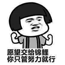 安徽卫视海豚tv，安徽卫视台标有什么寓意（海豚TV召唤锦鲤）