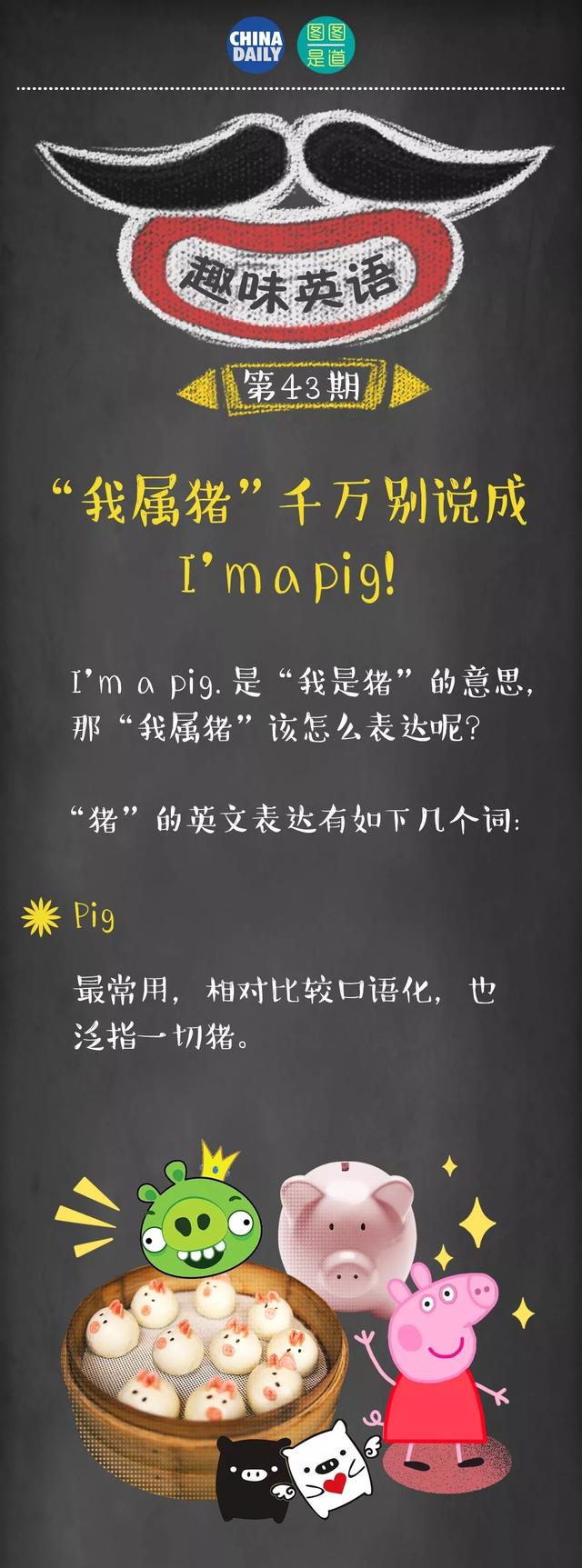 猪英语单词怎么写，猪的英文单词是pig 还是peg（“我属猪”千万别说成）