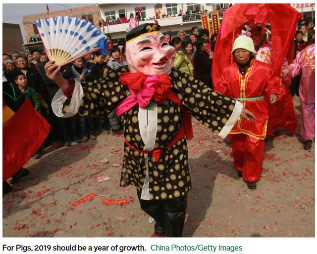 2019年是什么生肖，2019是什么年（2019年是闰年还是平年）