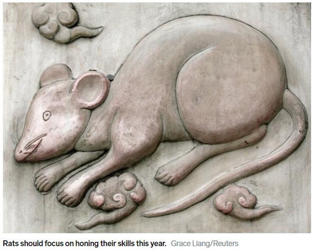 2019年是什么生肖，2019是什么年（2019年是闰年还是平年）