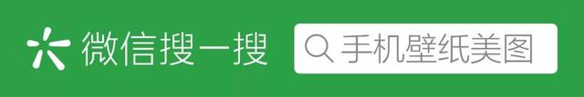 猪小屁手机壁纸，可爱的猪小屁壁纸吖~喜欢的收藏吧，别忘了点赞哦~，微信头像（猪小屁<猪猪壁纸>）