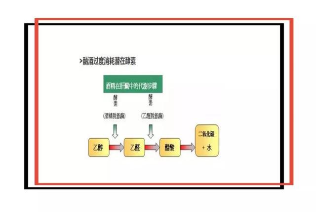 怎么判断自己的酒量，女生十大容易醉的酒（怎么一眼看出对方的酒量）