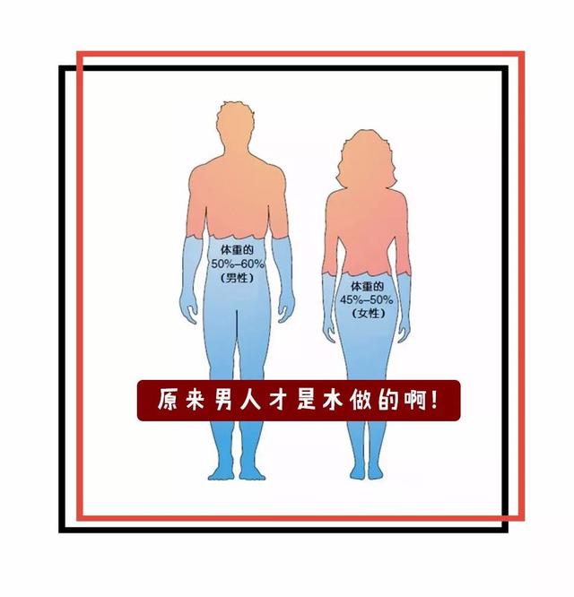 怎么判断自己的酒量，女生十大容易醉的酒（怎么一眼看出对方的酒量）