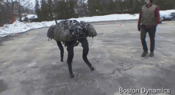 樱木花道配音演员是谁，樱木花道配音演员草尾毅（花钱学不如看蜻蜓队长）