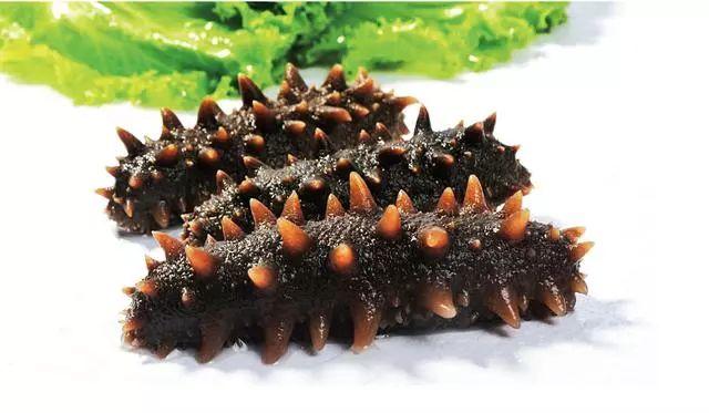 长期吃海参好处和坏处，海参不能和六种食物一起吃（辟谣丨常吃海参可以抗癌补肾）