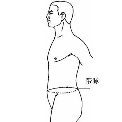 输卵管位置图在肚脐什么地方，输卵管在什么位置真人体图（人体自带一条“长寿腰带”）