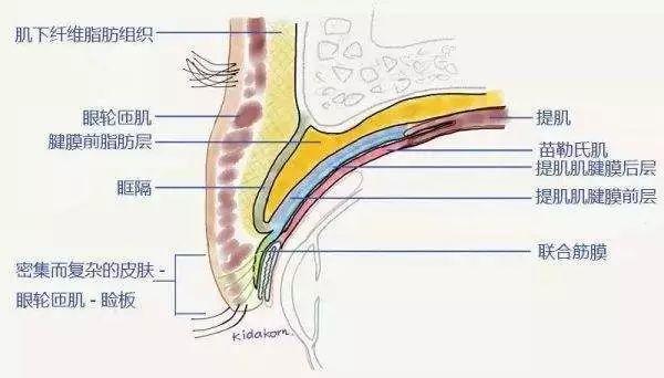 右眼皮跳财(右眼皮跳财左眼皮跳灾) - 珍缘易学