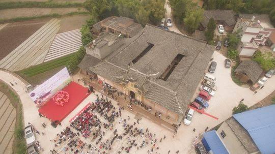 梦见大乌龟是什么意思梦见牛，孕妇梦见牛和乌龟（威远县界牌黄姓钟姓非婚姻关系老祖公、祖婆共葬一墓）