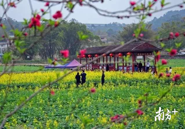 白云山在哪个地铁站下，白云山在哪（广州花园区域未来将有3个地铁站）