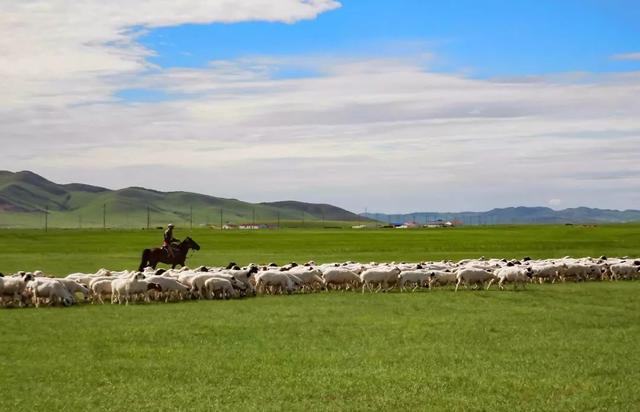 萧县活羊价格今日羊价格表，今年牛羊肉价格会降价吗（涉及羊肉食材的餐企能得到哪些启示）