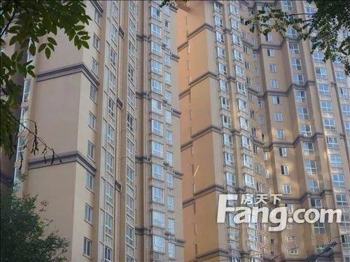 什么是塔楼，什么是塔楼板楼塔板结合（板楼和塔楼怎么区分）