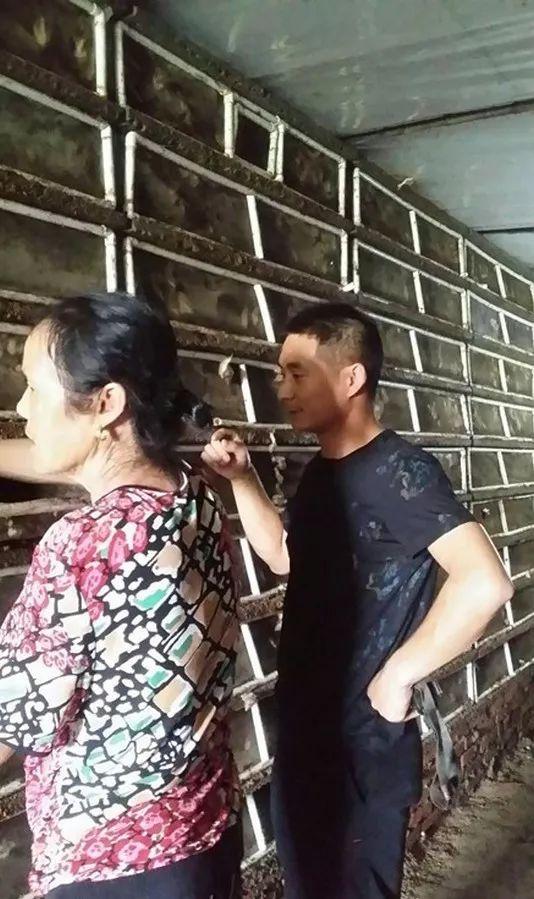 白玉蜗牛能吃吗，白玉蜗牛怎么吃（白玉蜗牛兼具食用、药用和保健价值）