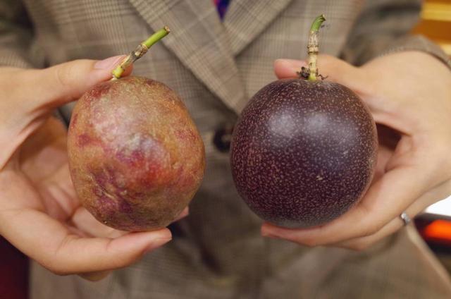 百香果怎么吃有减肥的功效，百香果怎么吃减肥效果最好（刚切开香气就狂涌出来）