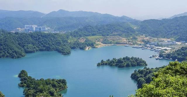 百香果怎么吃有减肥的功效，百香果怎么吃减肥效果最好（刚切开香气就狂涌出来）