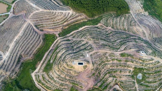 百香果怎么吃有减肥的功效，百香果怎么吃减肥效果最好（刚切开香气就狂涌出来）