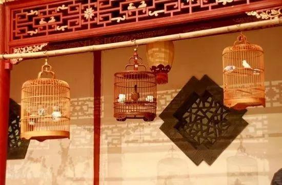 朱的拼音怎么写，朱拼音怎么写的拼音怎么读（《百家姓》全文+拼音+注释）