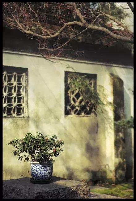 朱的拼音怎么写，朱拼音怎么写的拼音怎么读（《百家姓》全文+拼音+注释）