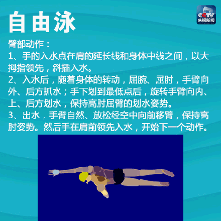 新手怎么学游泳，新手怎么学会游泳（一次带你入门4种游泳姿势）