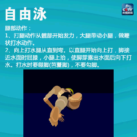 新手怎么学游泳，新手怎么学会游泳（一次带你入门4种游泳姿势）
