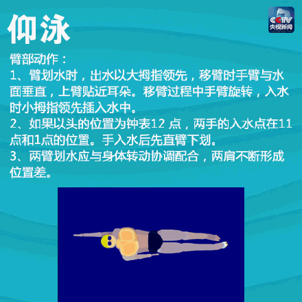 新手怎么学游泳，新手怎么学会游泳（一次带你入门4种游泳姿势）