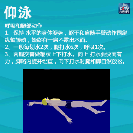 新手怎么学游泳，新手怎么学会游泳（一次带你入门4种游泳姿势）