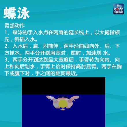 新手怎么学游泳，新手怎么学会游泳（一次带你入门4种游泳姿势）