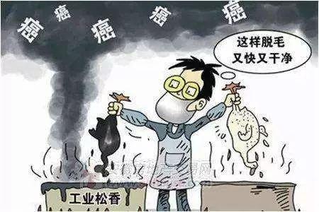 松香有毒吗，工业松香有毒吗（工业松香脱猪毛）