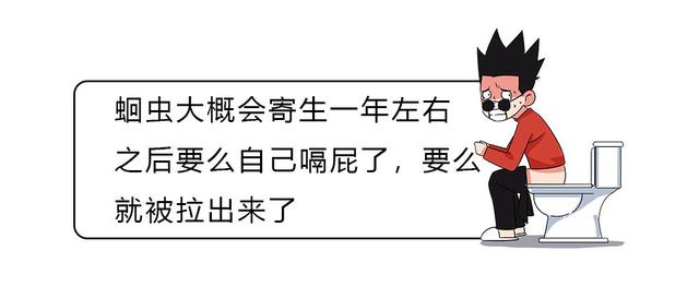 成人怎么判断人体该驱虫了，蛔虫晚上几点会爬出来（如果体内有寄生虫）