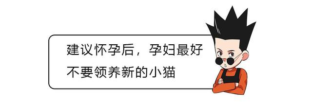 成人怎么判断人体该驱虫了，蛔虫晚上几点会爬出来（如果体内有寄生虫）