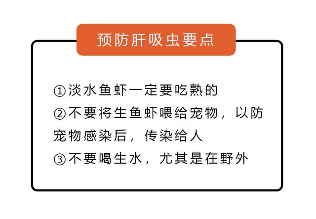 成人怎么判断人体该驱虫了，蛔虫晚上几点会爬出来（如果体内有寄生虫）