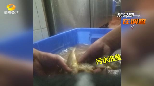 芽白金针菇的做法，嫩金针菇芽怎么吃（“卖剩菜”的吉布鲁牛排海鲜自助餐厅）